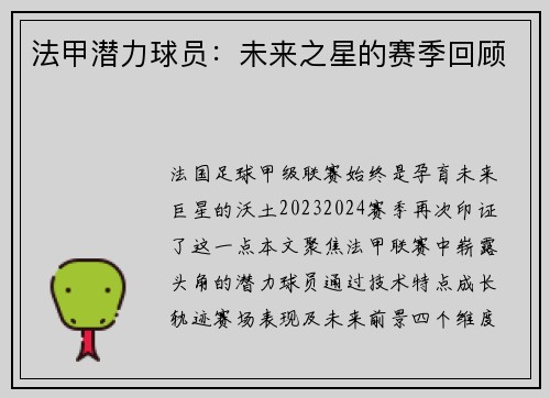 法甲潜力球员：未来之星的赛季回顾